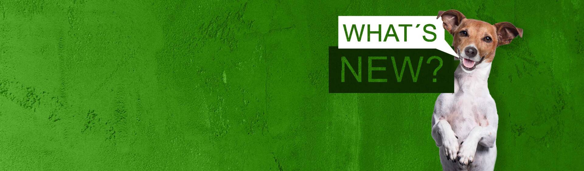 LizenzDirekt-News-Slider