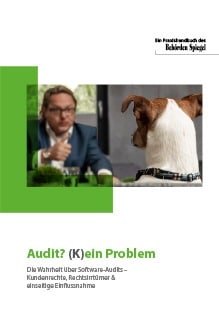 LizenzDirekt Audit Paper 2023